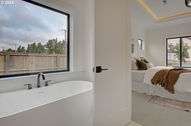 full bathroom featuring a raised ceiling and a freestanding bath