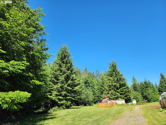 24361 S Upper Highland Rd, Colton, OR 97017 - view of green lawn with dirt driveway and a forest view