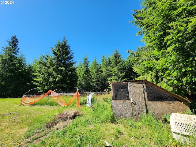 view of yard with an outbuilding