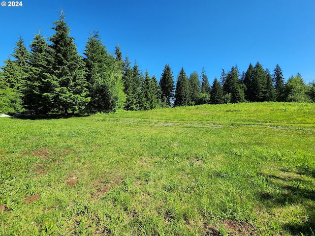 24361 S Upper Highland Rd, Colton, OR 97017 - view of nature