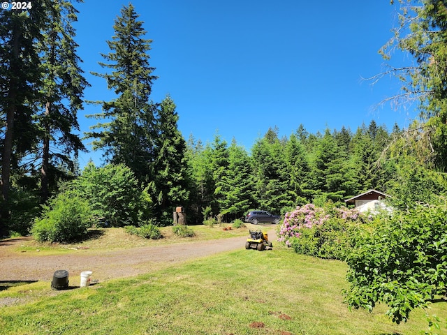 24361 S Upper Highland Rd, Colton, OR 97017 - view of green lawn featuring driveway