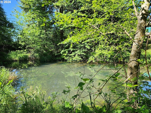 view of water feature