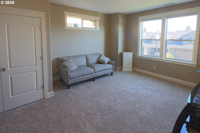 carpeted living room with a wealth of natural light