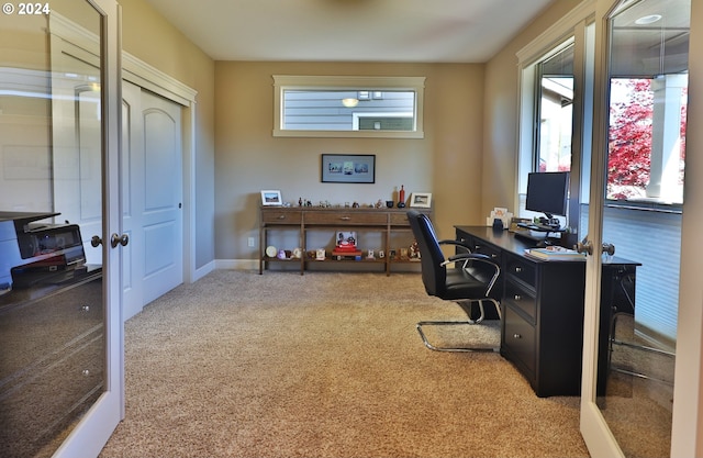 home office with carpet floors