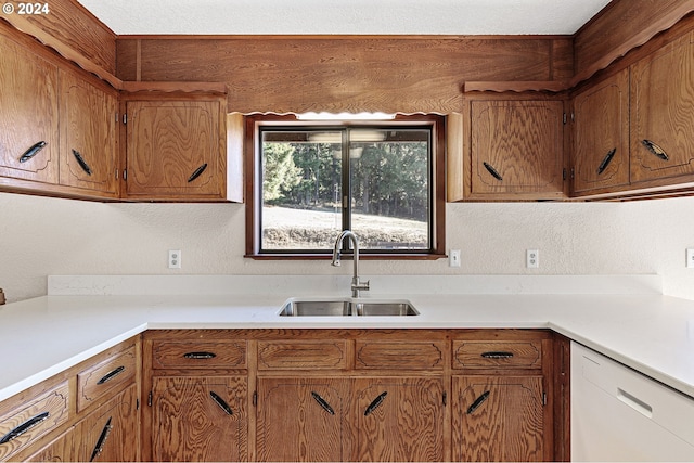 kitchen with dishwasher and sink