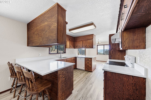 kitchen with stove, light hardwood / wood-style flooring, sink, dishwasher, and kitchen peninsula