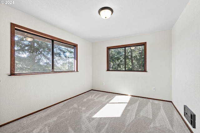 unfurnished room with a healthy amount of sunlight and carpet