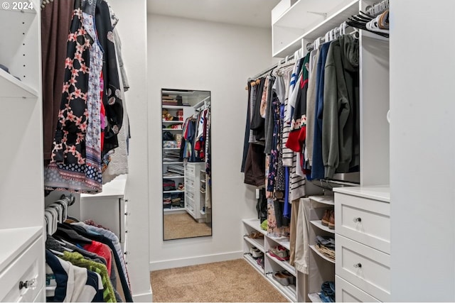 spacious closet with light carpet