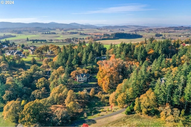 birds eye view of property featuring a mountain view