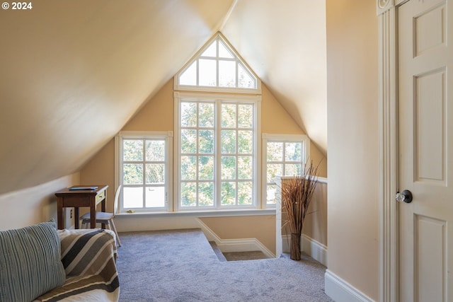 carpeted bedroom with lofted ceiling