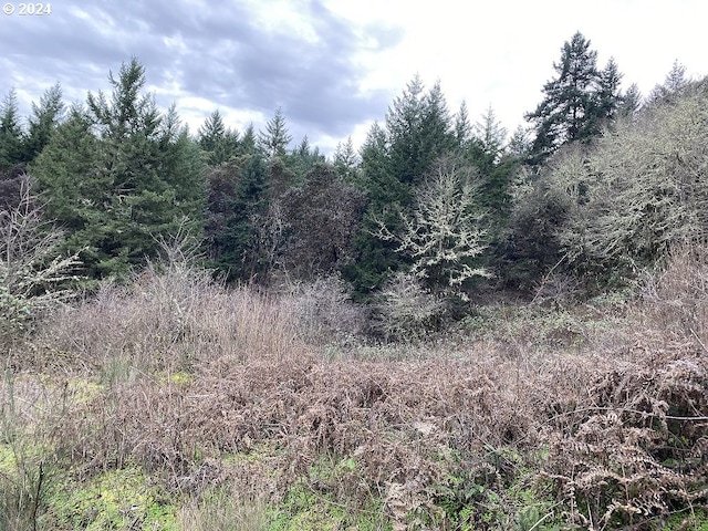 0 Terri Ct, Oakland OR, 97462 land for sale