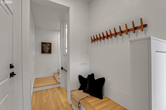 mudroom with wood-type flooring