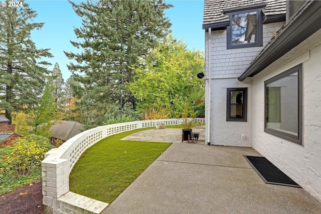 view of yard featuring a patio area