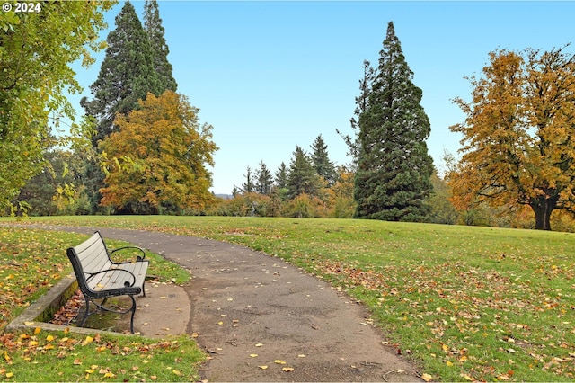 surrounding community featuring a lawn