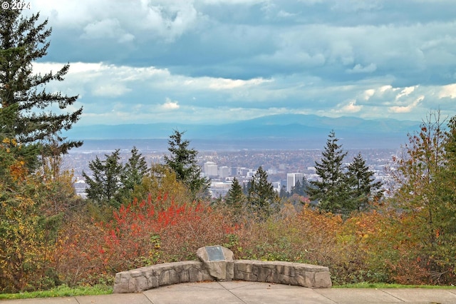 view of yard featuring a mountain view