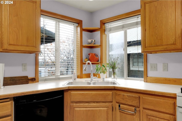 kitchen with black dishwasher, plenty of natural light, and sink