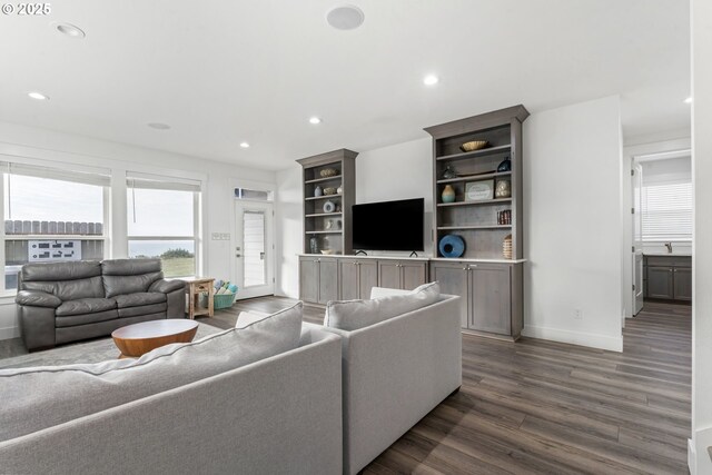 living room with dark hardwood / wood-style flooring