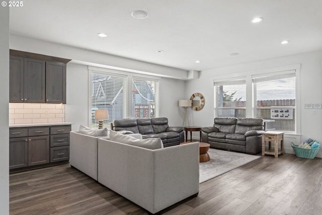 living room with dark hardwood / wood-style flooring