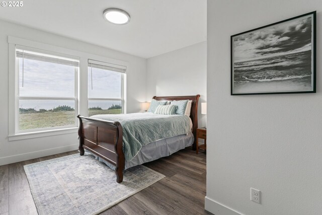 bedroom featuring multiple windows and dark hardwood / wood-style flooring