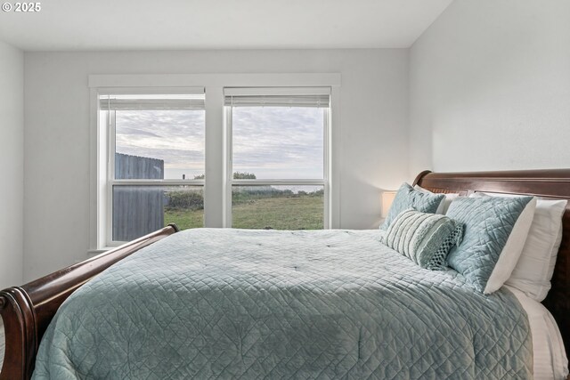 bedroom featuring multiple windows