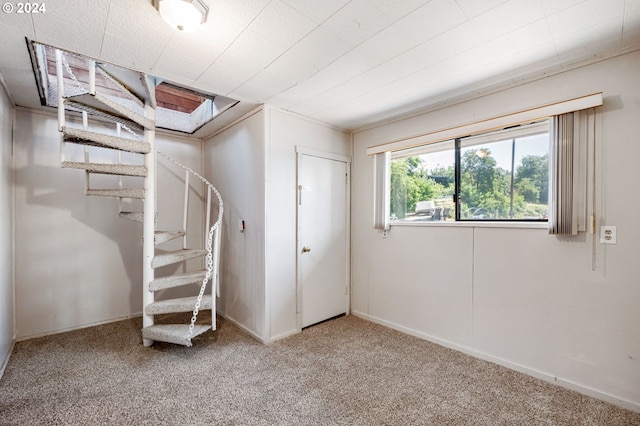 basement with carpet flooring