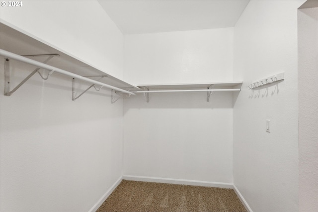 spacious closet with carpet flooring