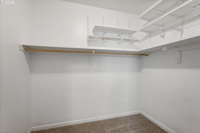 spacious closet with carpet