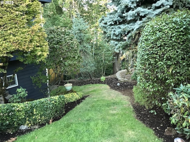 view of green lawn