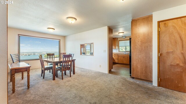 dining area with a textured ceiling and carpet flooring