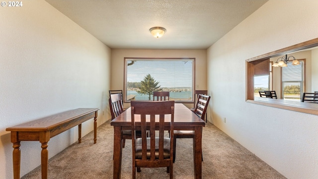 carpeted dining room with an inviting chandelier and a textured ceiling