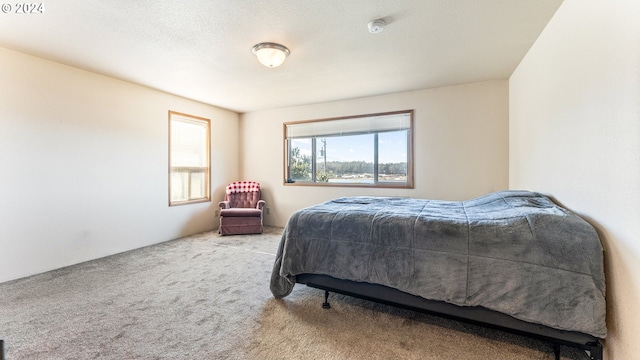 bedroom with a textured ceiling and light carpet