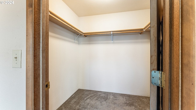 walk in closet featuring carpet floors