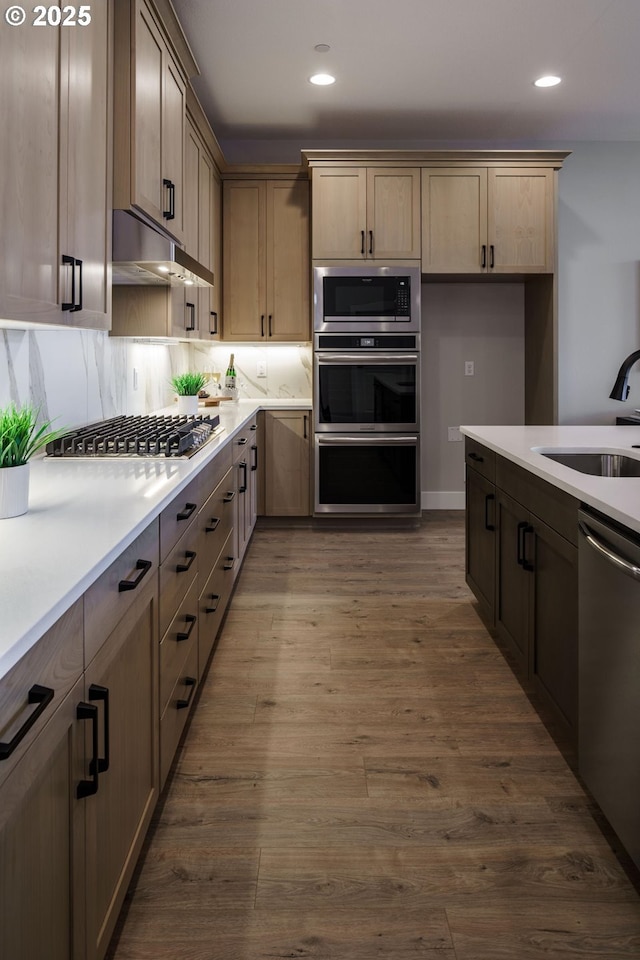 kitchen with under cabinet range hood, a sink, tasteful backsplash, wood finished floors, and appliances with stainless steel finishes