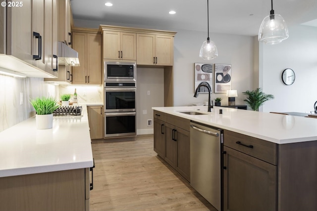 kitchen featuring light countertops, light wood-style flooring, exhaust hood, stainless steel appliances, and a sink