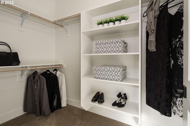 spacious closet with carpet