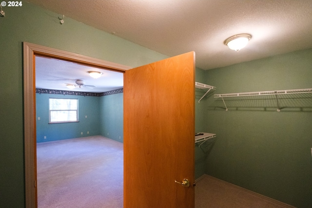 spacious closet featuring carpet floors and ceiling fan