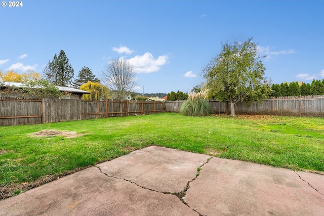 view of yard featuring a patio area