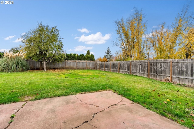 view of yard with a patio area