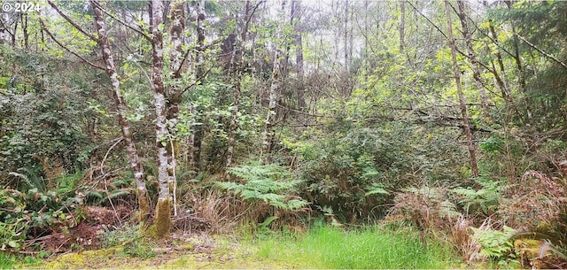 75012006003 Q St, Ocean Park WA, 98640 land for sale