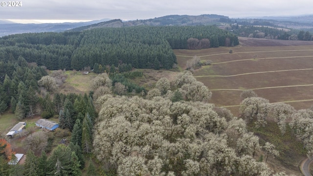 bird's eye view with a mountain view