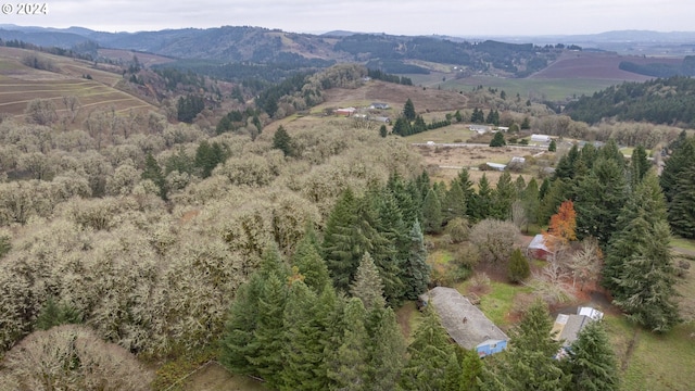 drone / aerial view with a mountain view