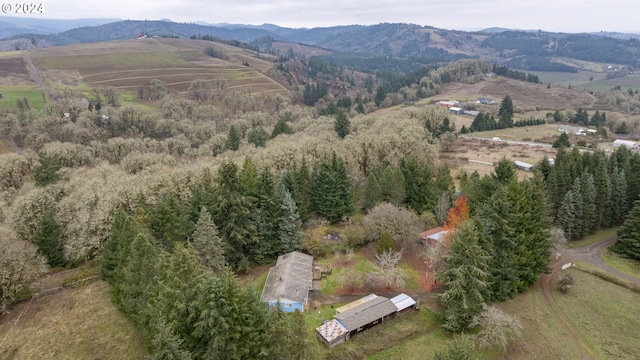 bird's eye view with a mountain view