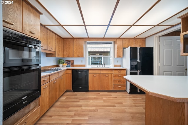 kitchen featuring light hardwood / wood-style flooring, black appliances, and sink