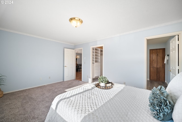 bedroom featuring carpet flooring, a walk in closet, crown molding, and a closet