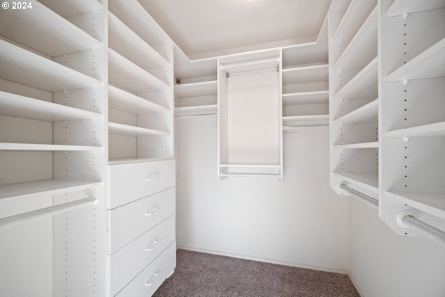 walk in closet featuring carpet