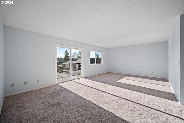 spare room with carpet floors and a textured ceiling