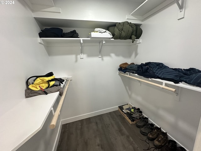 walk in closet featuring dark hardwood / wood-style flooring