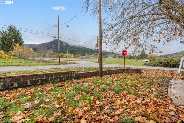 view of yard featuring a mountain view