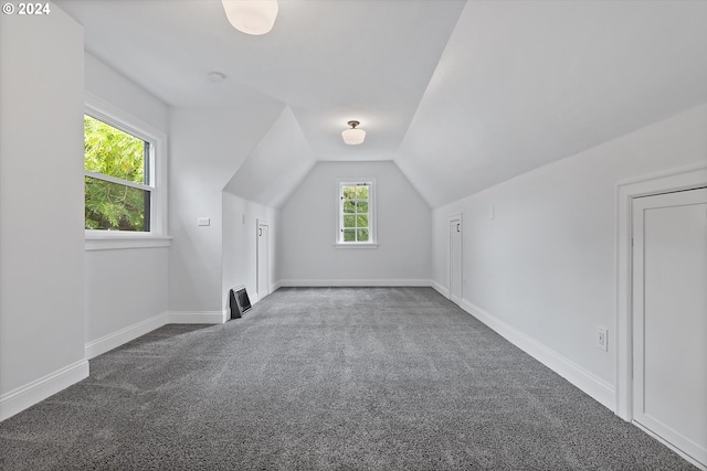 bonus room with lofted ceiling, a healthy amount of sunlight, and carpet flooring