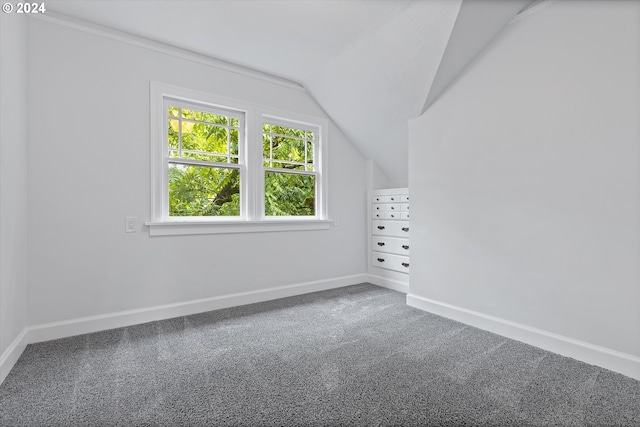 bonus room featuring carpet floors and vaulted ceiling